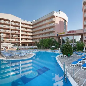 book here